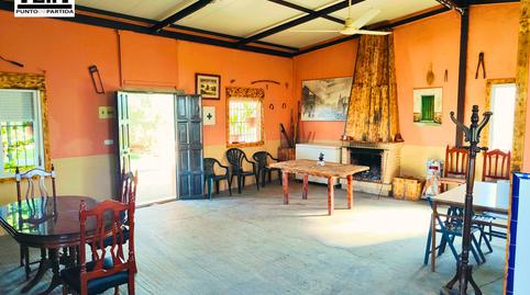 Foto 4 de Finca rústica en venda a Las Cabezas de San Juan, Sevilla