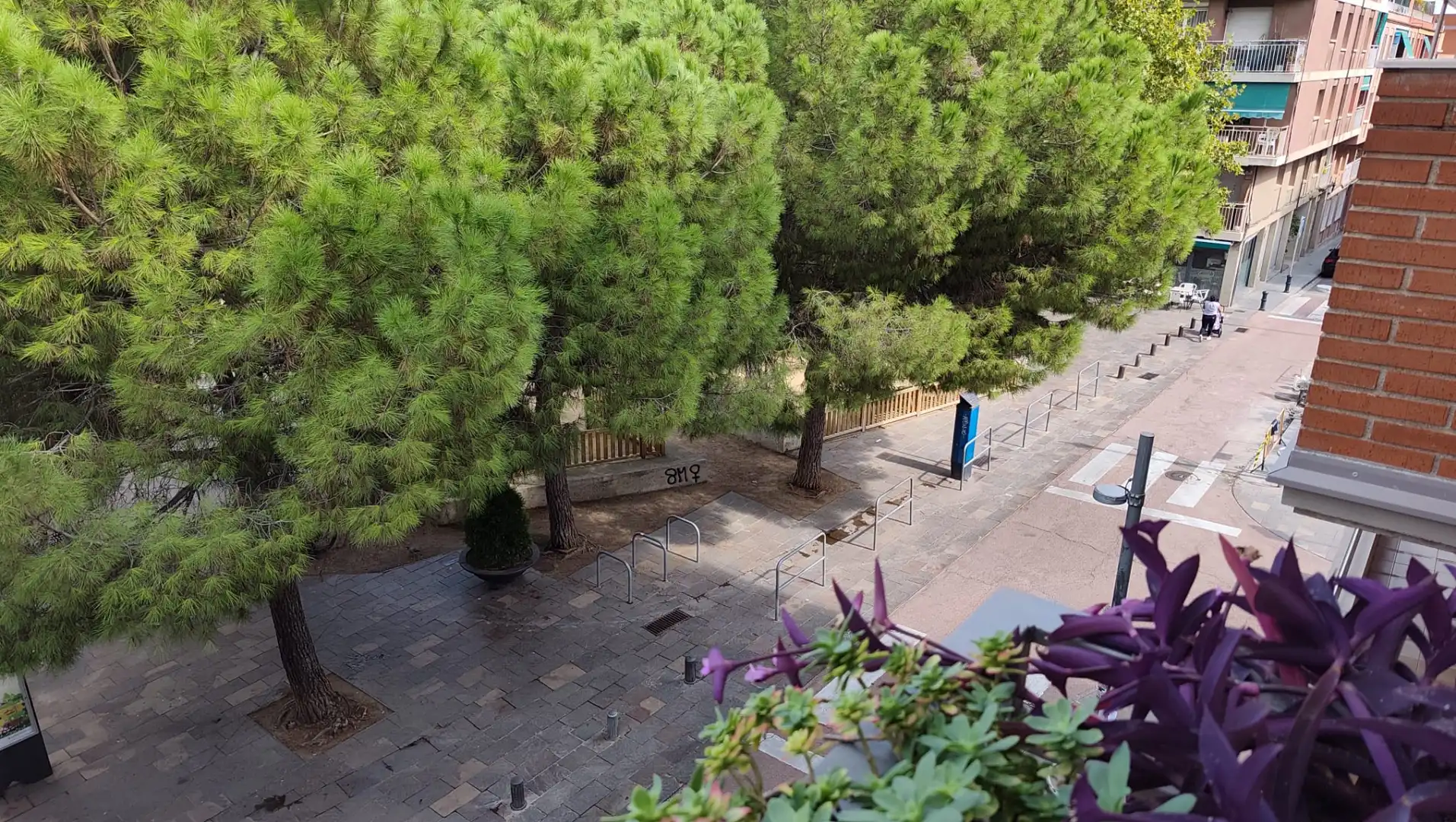 Duplex avec terrasse à vendre à Plaça d'en Coll, imagen 32