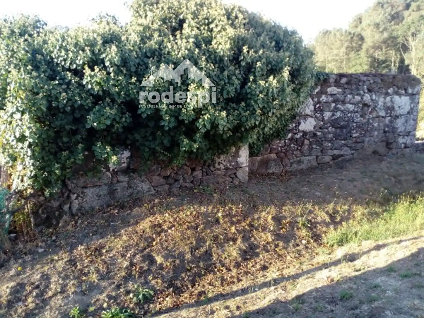 Casa o chalet en venta en Pontedeva