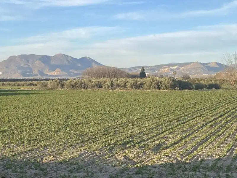 Finca rústica en venda en Vegas del Genil