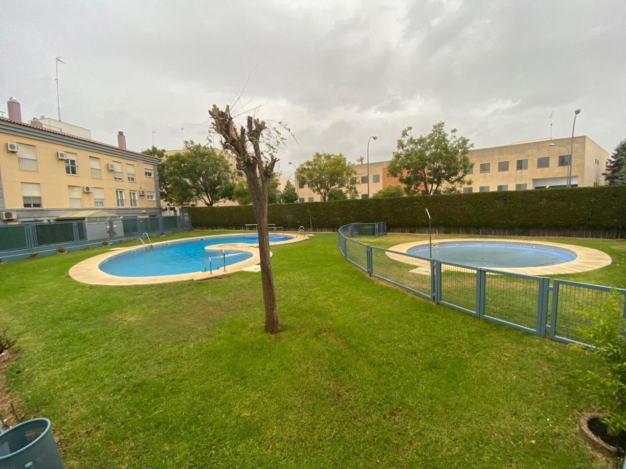 Swimming pool of Planta baja to rent in Dos Hermanas  with Furnished