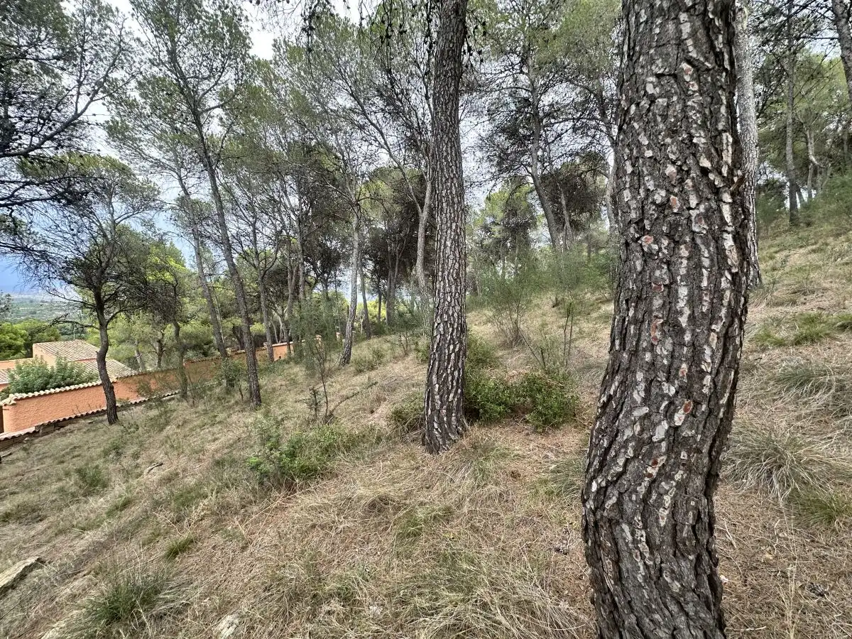Wohnbaugrundstück zum Verkauf in Torres Torres, imagen 36