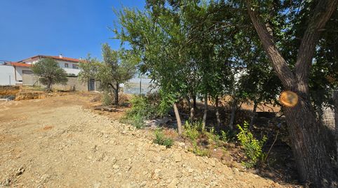 VENTA DE PARCELA URBANA EN ALISEDA (CÁCERES), imatge 3