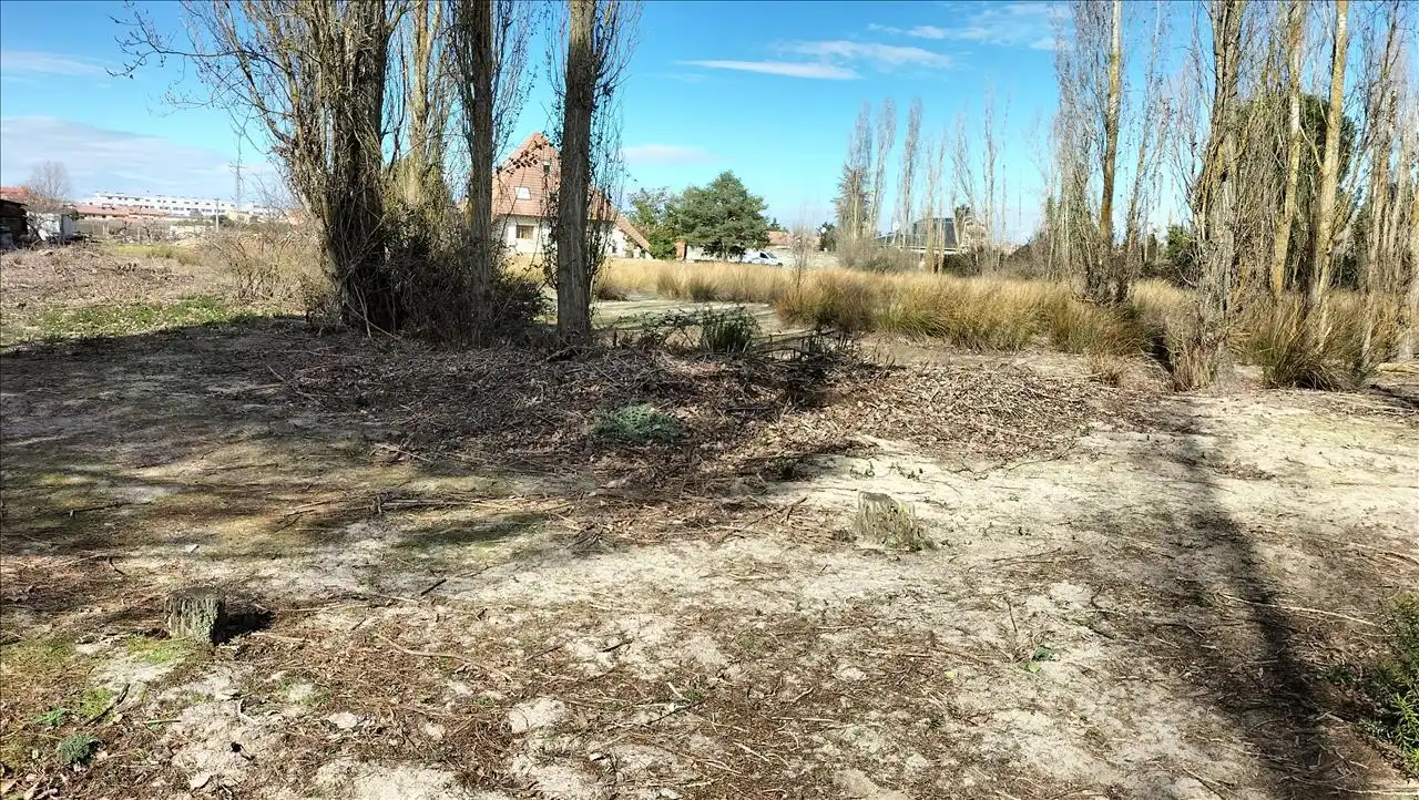 Residential land for sale in SECTOR 9 LA ESTACION, imagen 9