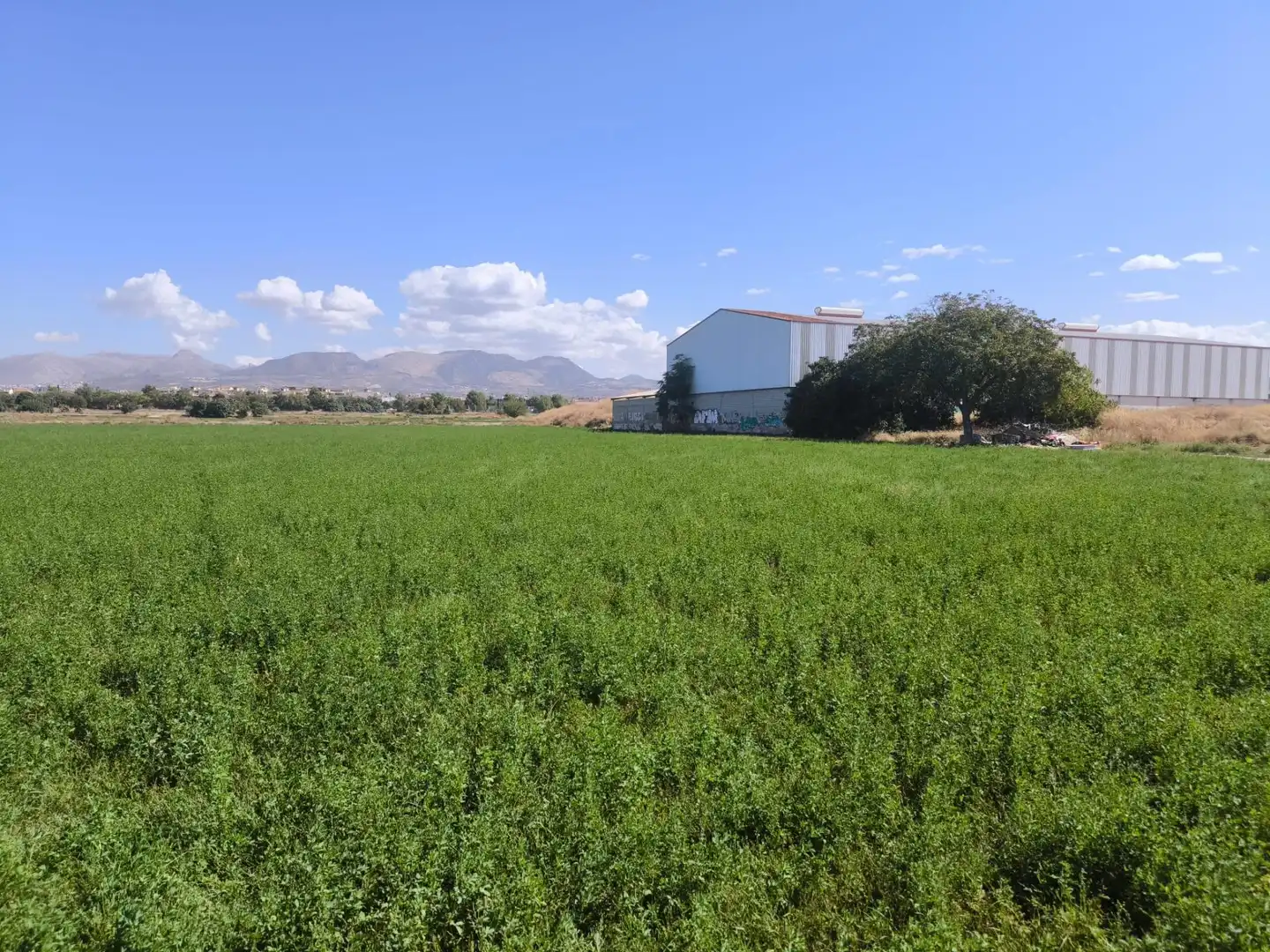 Industrial land for sale in Maracena, Granada
