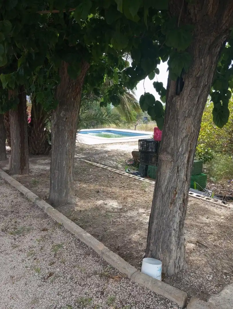 Piscina de Finca rústica en venta en Redován con Terraza, Piscina y Amueblado