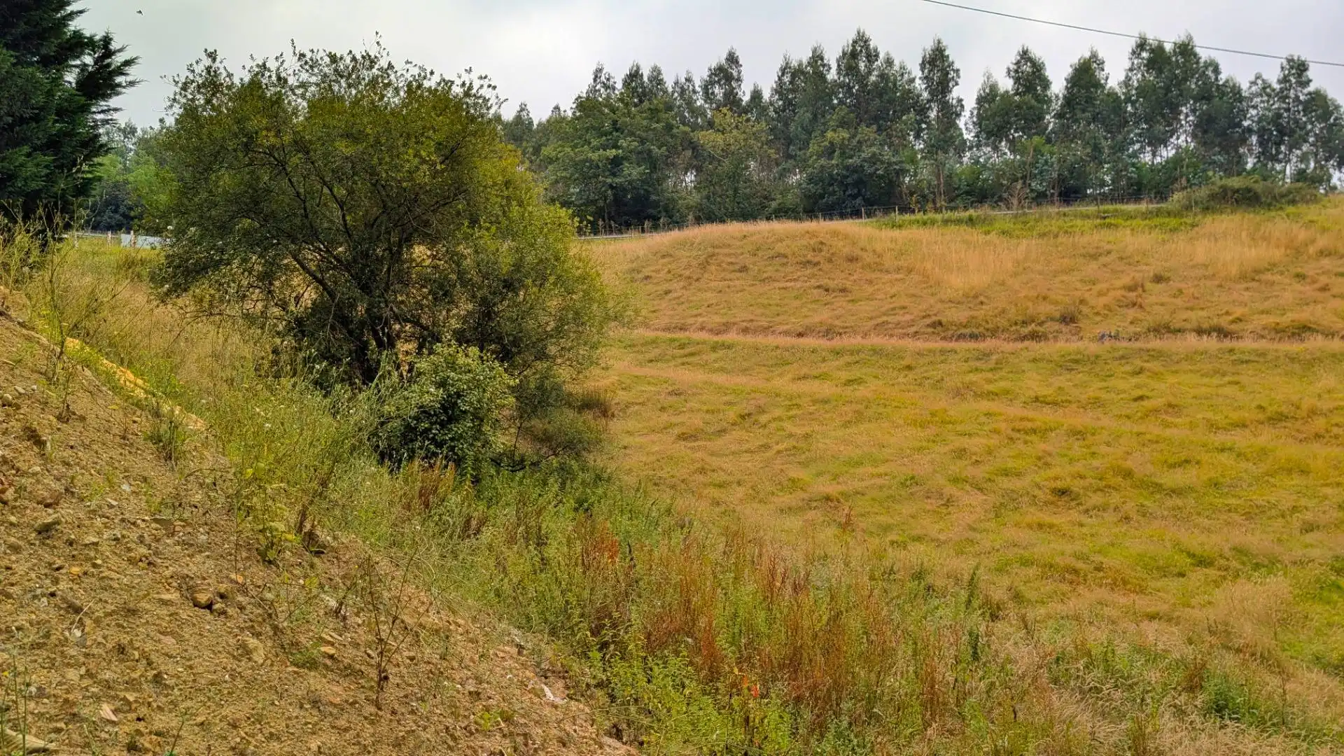 Finca rústica en venda en Torrelavega  amb Jardí privat