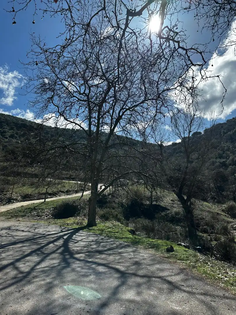 Vista exterior de Finca rústica en venda en Valdepeñas de Jaén