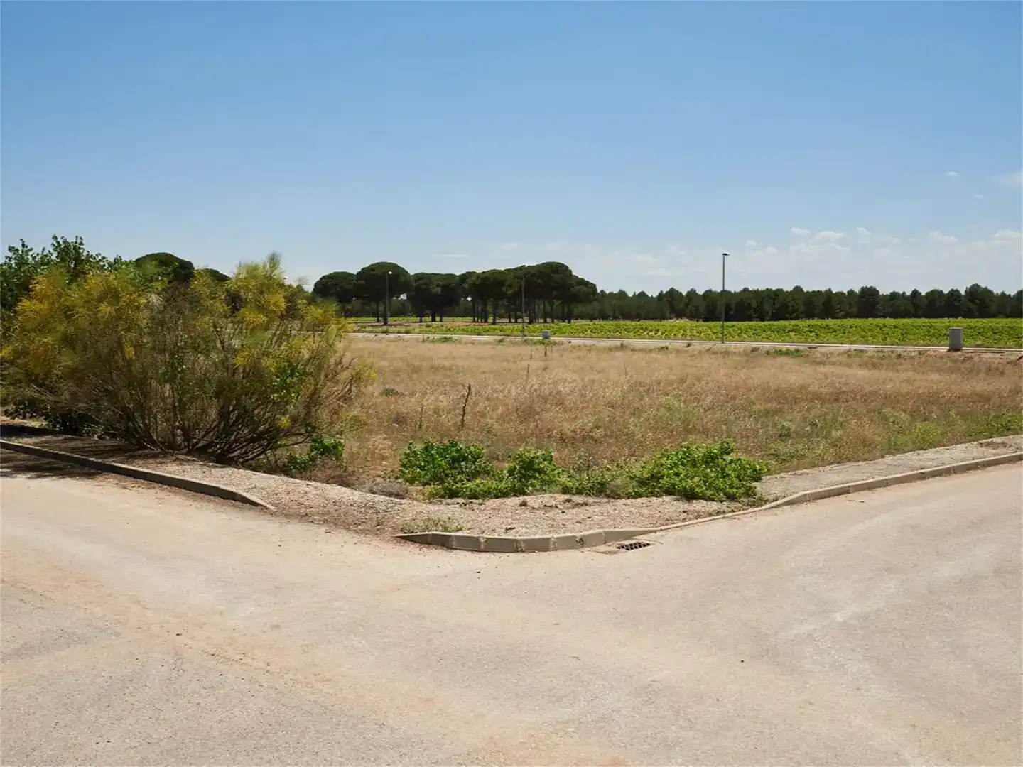 Terreno en venta en Arenales de San Gregorio, Ciudad Real