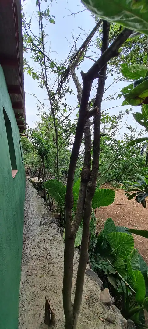 Finca rústica en venda a Icod de los Vinos pueblo