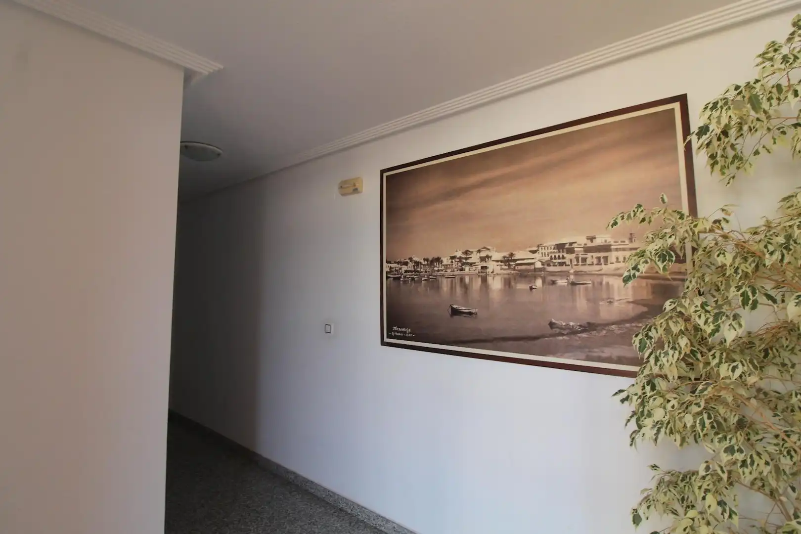 Apartamento con piscina en venta en Calle Calle Maite Pagazaurtundua Ruiz, imagen 18