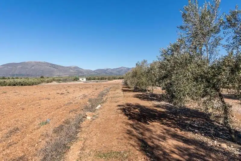 Terreni e lotti in vendita a PAGO CORTIJO DE LAS MONJAS POLIGONO 1 PARCELA 193, imagen 6