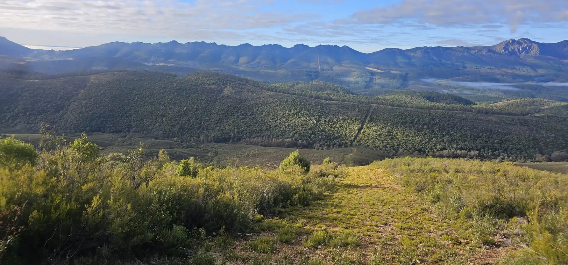 Terreni e lotti in vendita a Alía, imagen 7