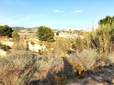 Terrain rustique à vendre à Monteral 210