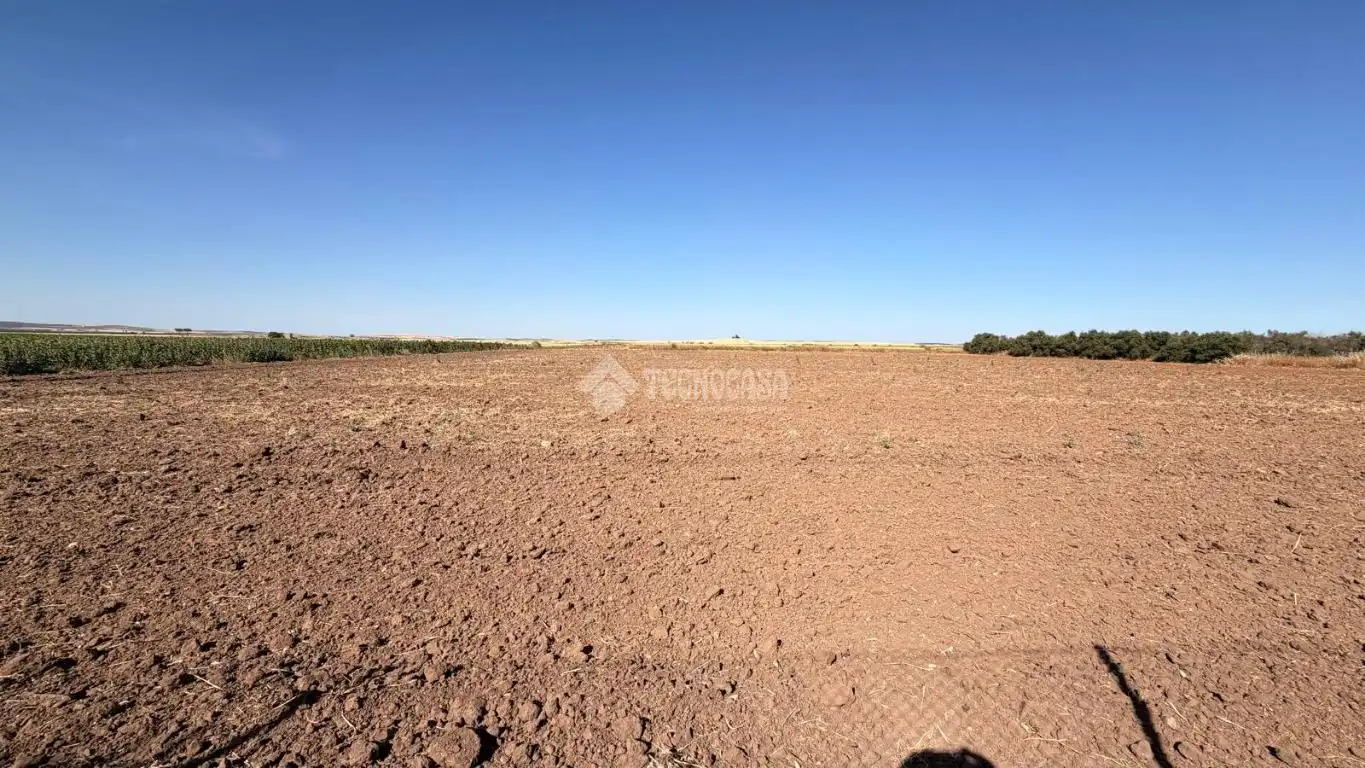 Terreno en venta en Paraje los los llanos, La Lantejuela