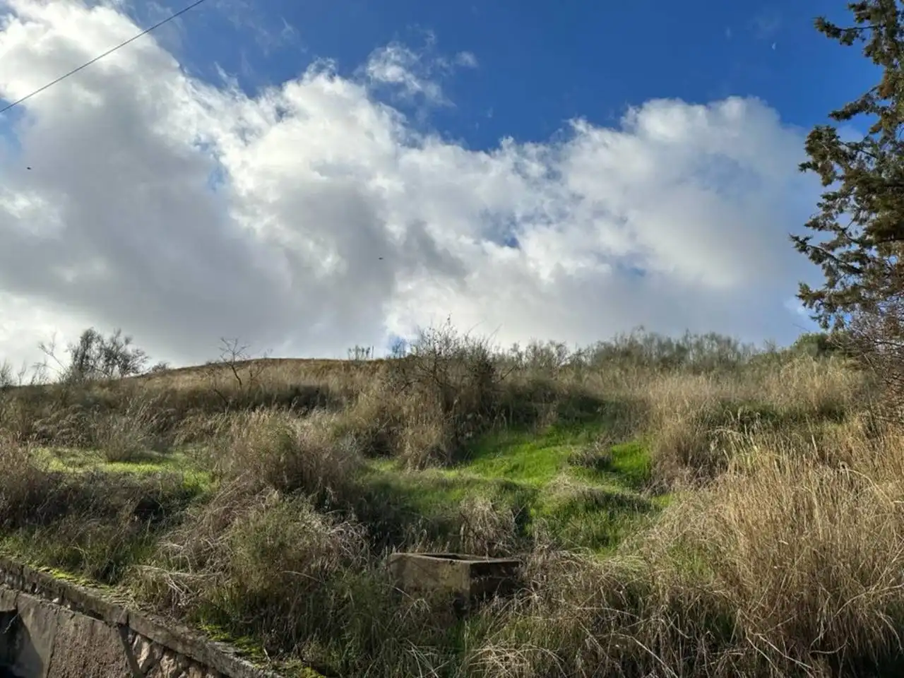 Terreny rústic en venda a Calle Riegos de Moraleda 1, imagen 11