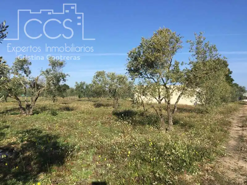Finca rústica en venta en Almonte