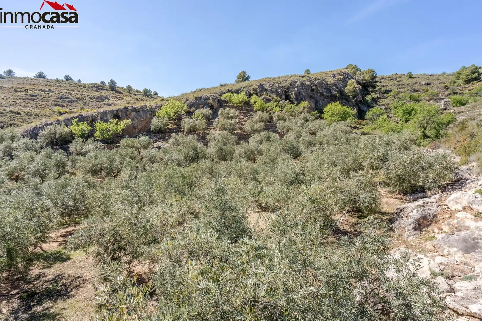Land for sale in Lúcar