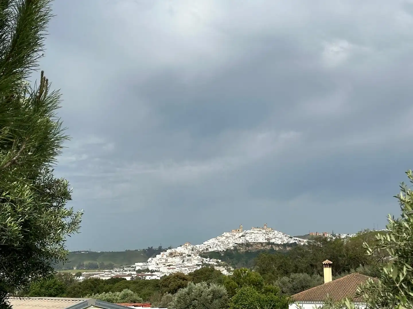Terreny rústic en venda a Arcos de la Frontera, imagen 7