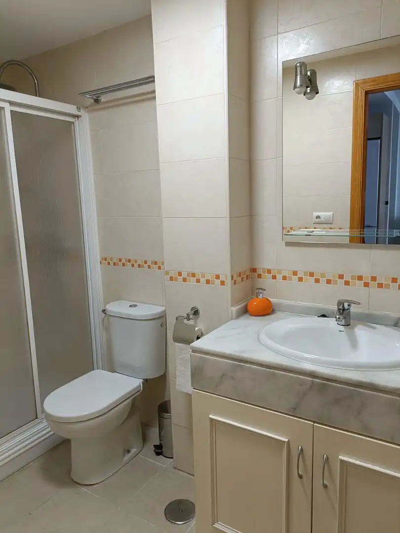 Flat with lift to rent in Casco Antiguo, imagen 15