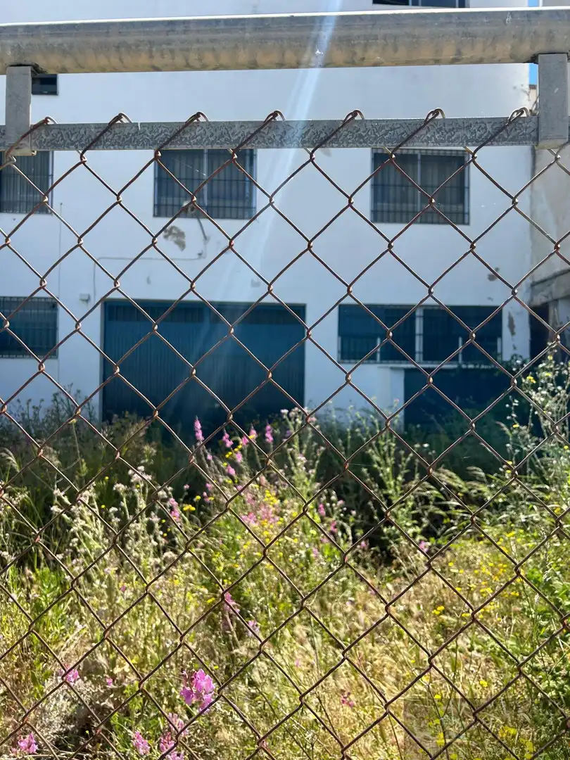 Local comercial en venda a Rute, imagen 6