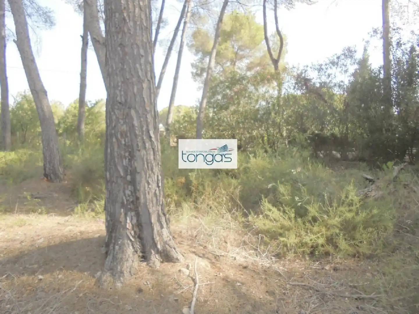 Terreno residencial en venta en El Genovés, imagen 4