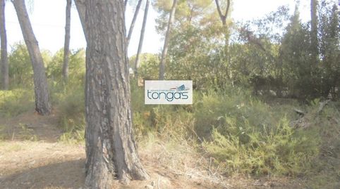 Terreno urbano en Genovés construye la casa de tus sueños, imatge 4
