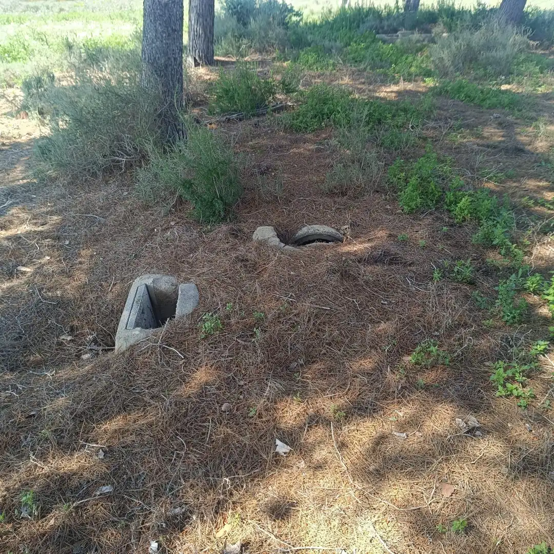 Terrain rustique à vendre à La Marina, imagen 9
