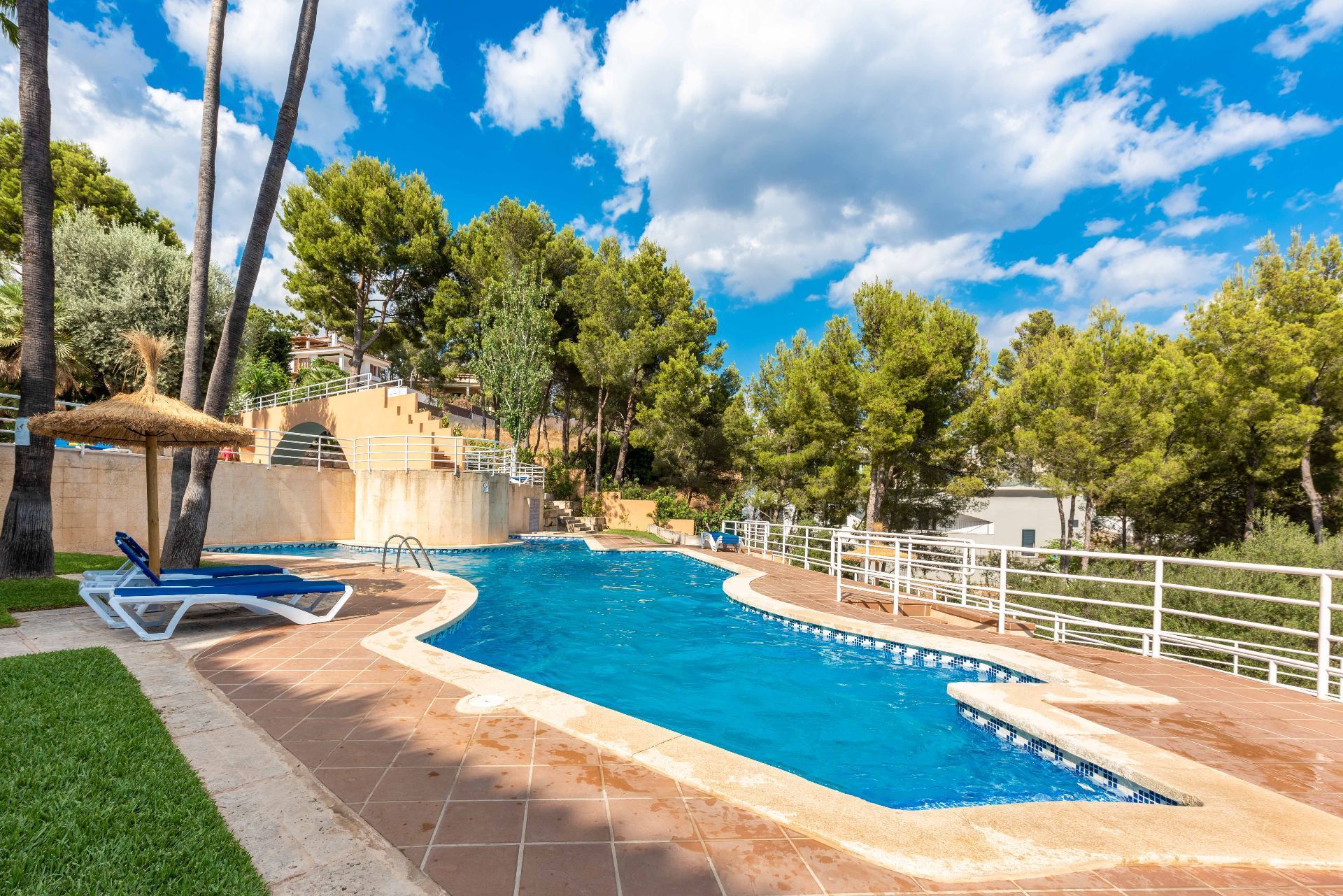 Swimming pool of Apartment to rent in Calvià  with Air Conditioner, Private garden and Terrace
