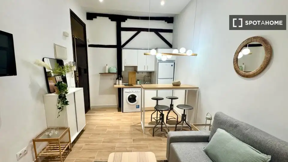 Flat with terrace to rent in Centro, imagen 12