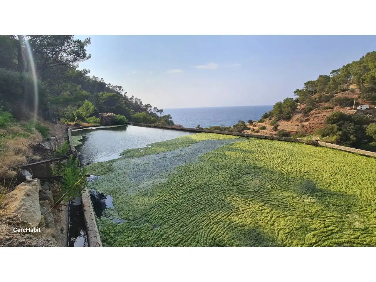 Garden of Country homes for sale in Estellencs  with Private garden, Terrace and Swimming Pool