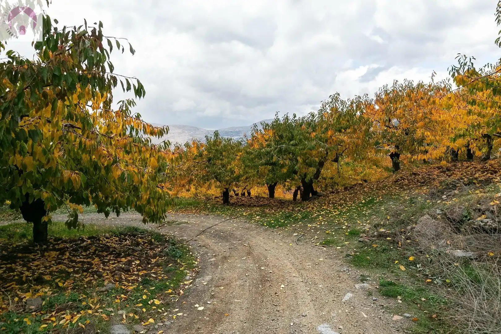 Lands and plots for sale in Güéjar Sierra, imagen 13