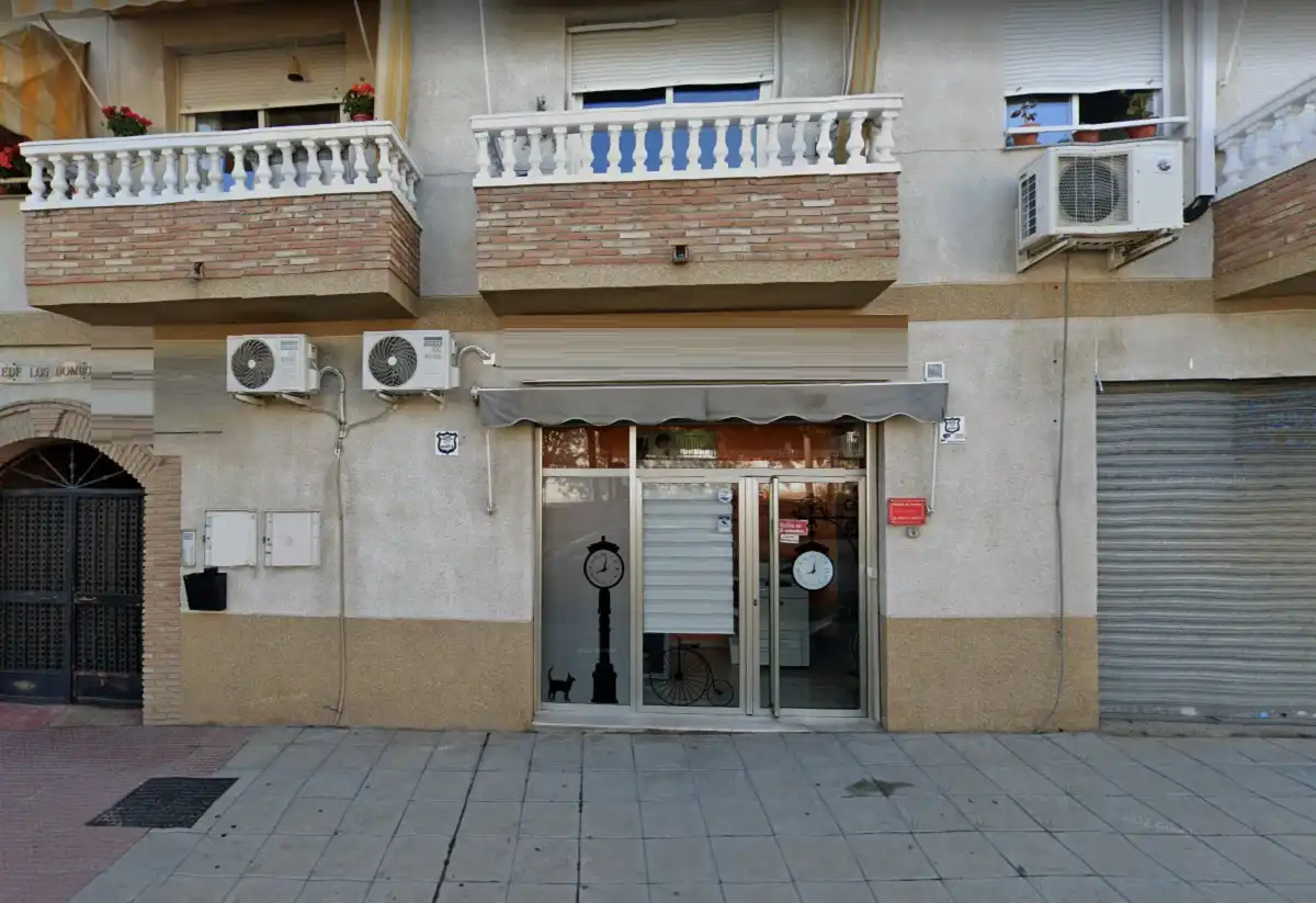 Business premises for sale in Av Virgen de las Nieves