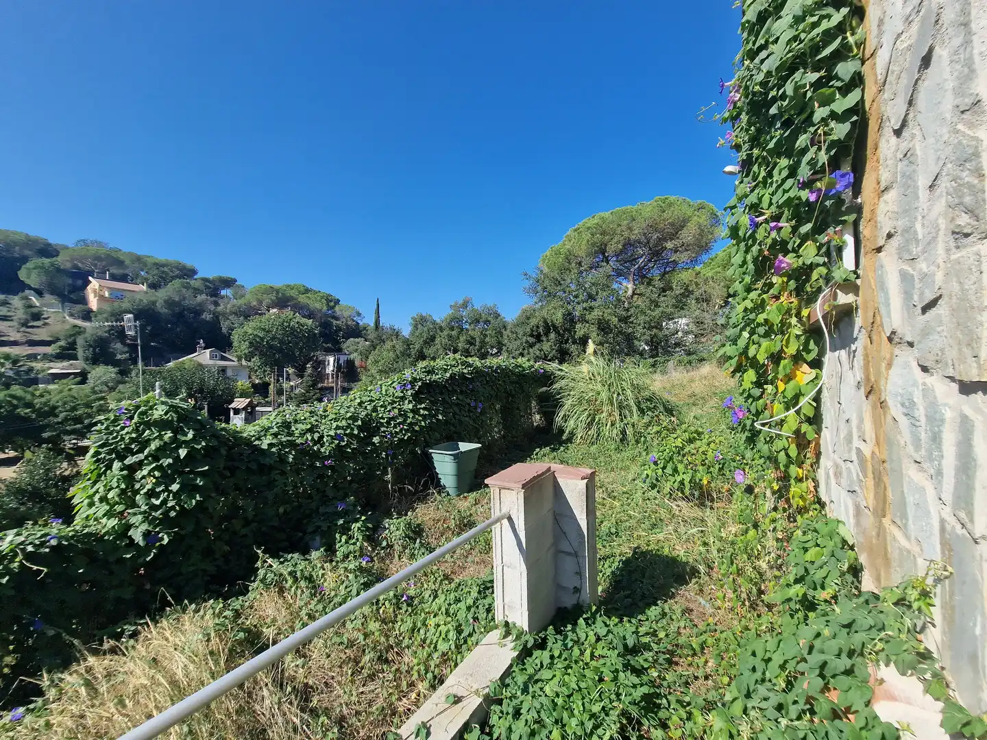 Jardín de Casa o chalet en venta en Sant Pere de Vilamajor con Calefacción, Jardín privado y Terraza