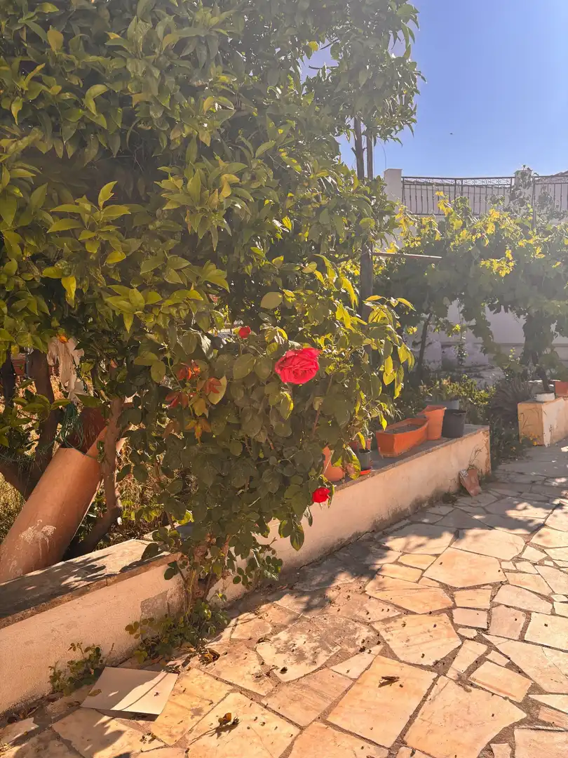 Garden of Flat for rent in Taberno