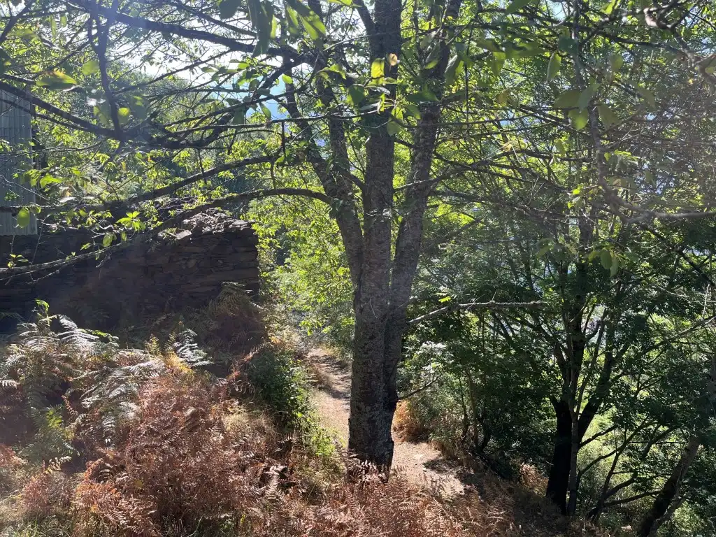 Casa o chalet en venta en Bausen