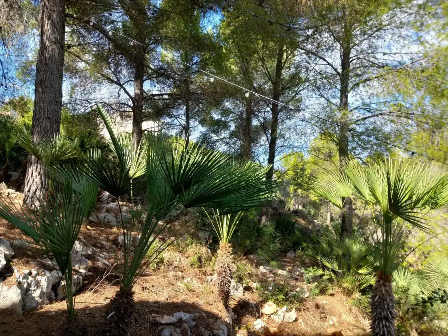 Piso en venta en La Sella