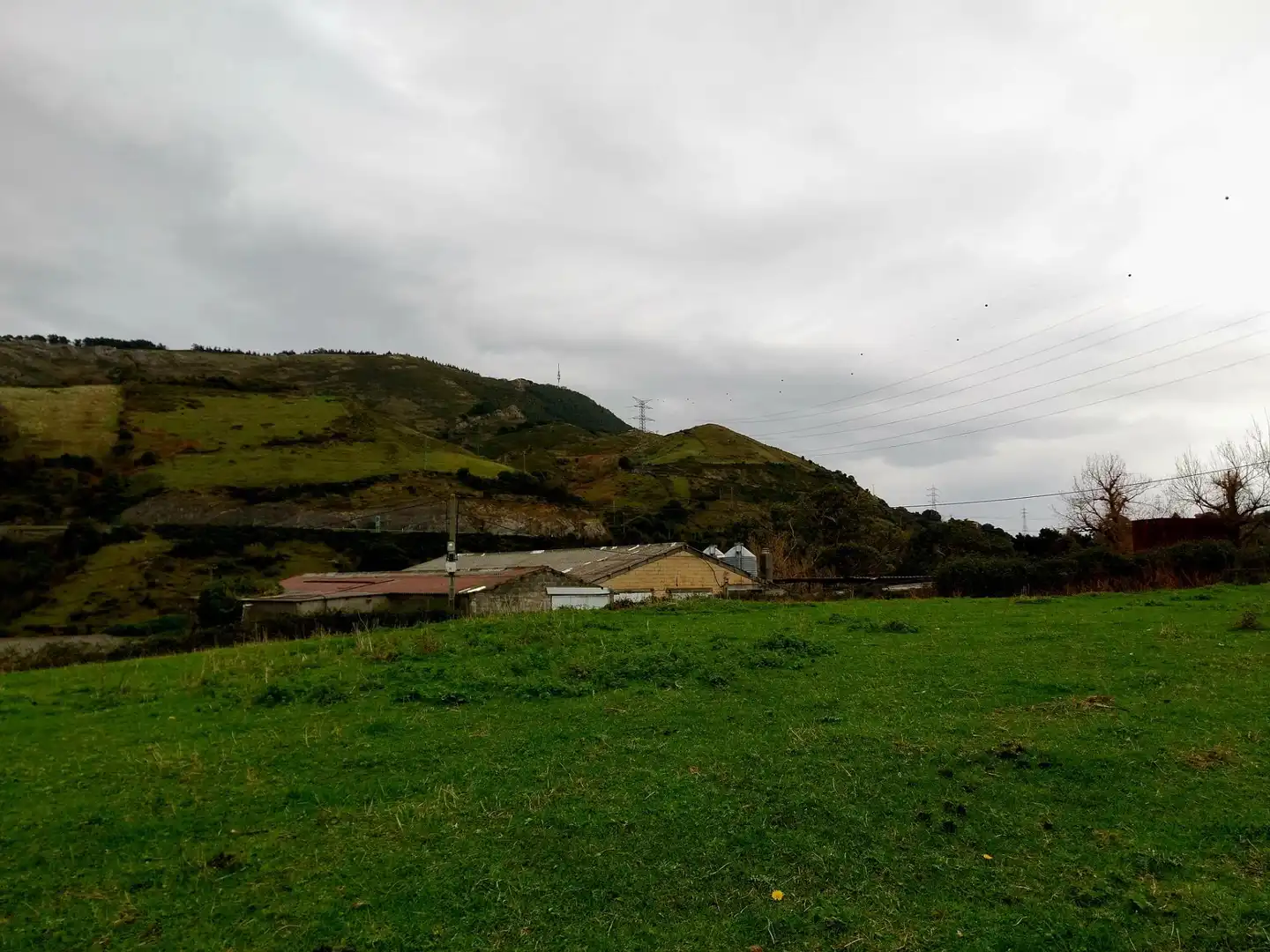 Rural land for sale in Zierbena, imagen 17