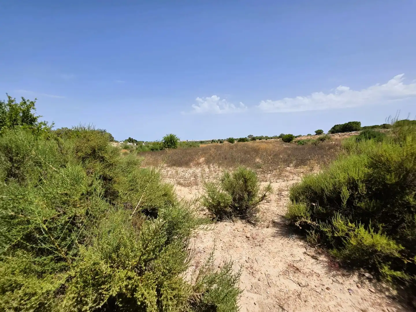 Terrain rustique à vendre à El Altet