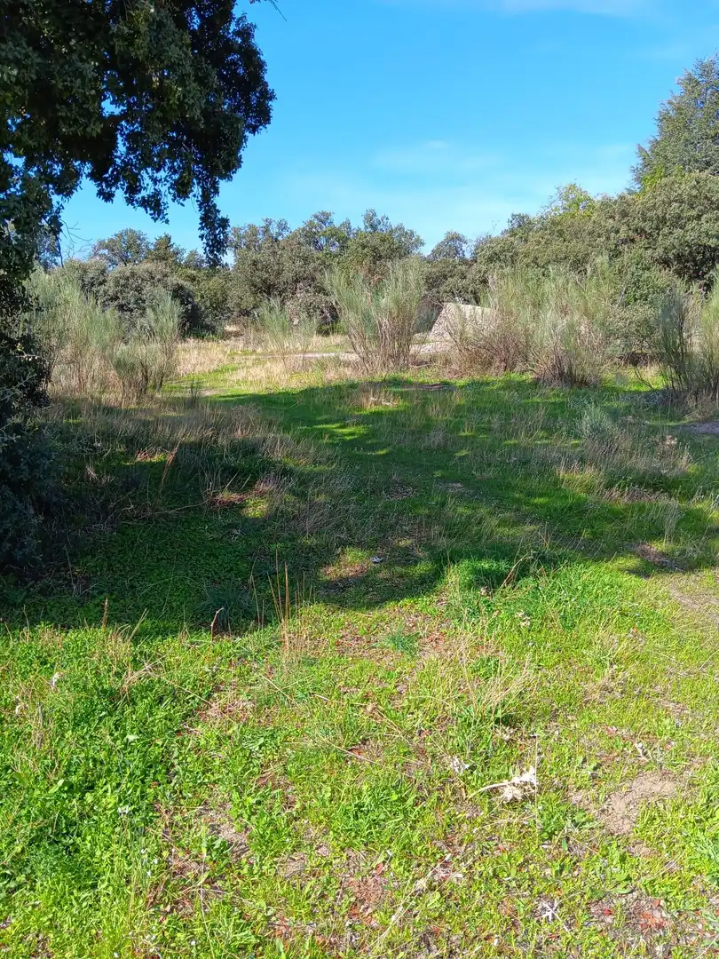 Terreno residencial en venta en Calle de Madrid 20, imagen 21