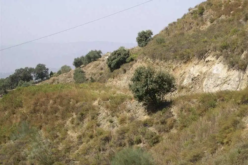 Terreno rústico en venta en Sedella, imagen 10
