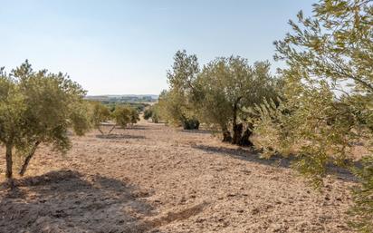 Grundstücke zum verkauf in Escúzar