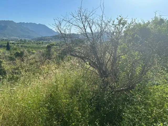 Rural land for sale in Vilallonga / Villalonga, imagen 13