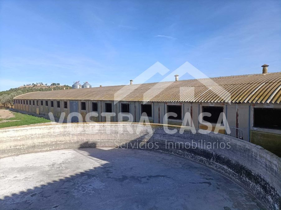 Exterior view of Industrial buildings for sale in Chiva