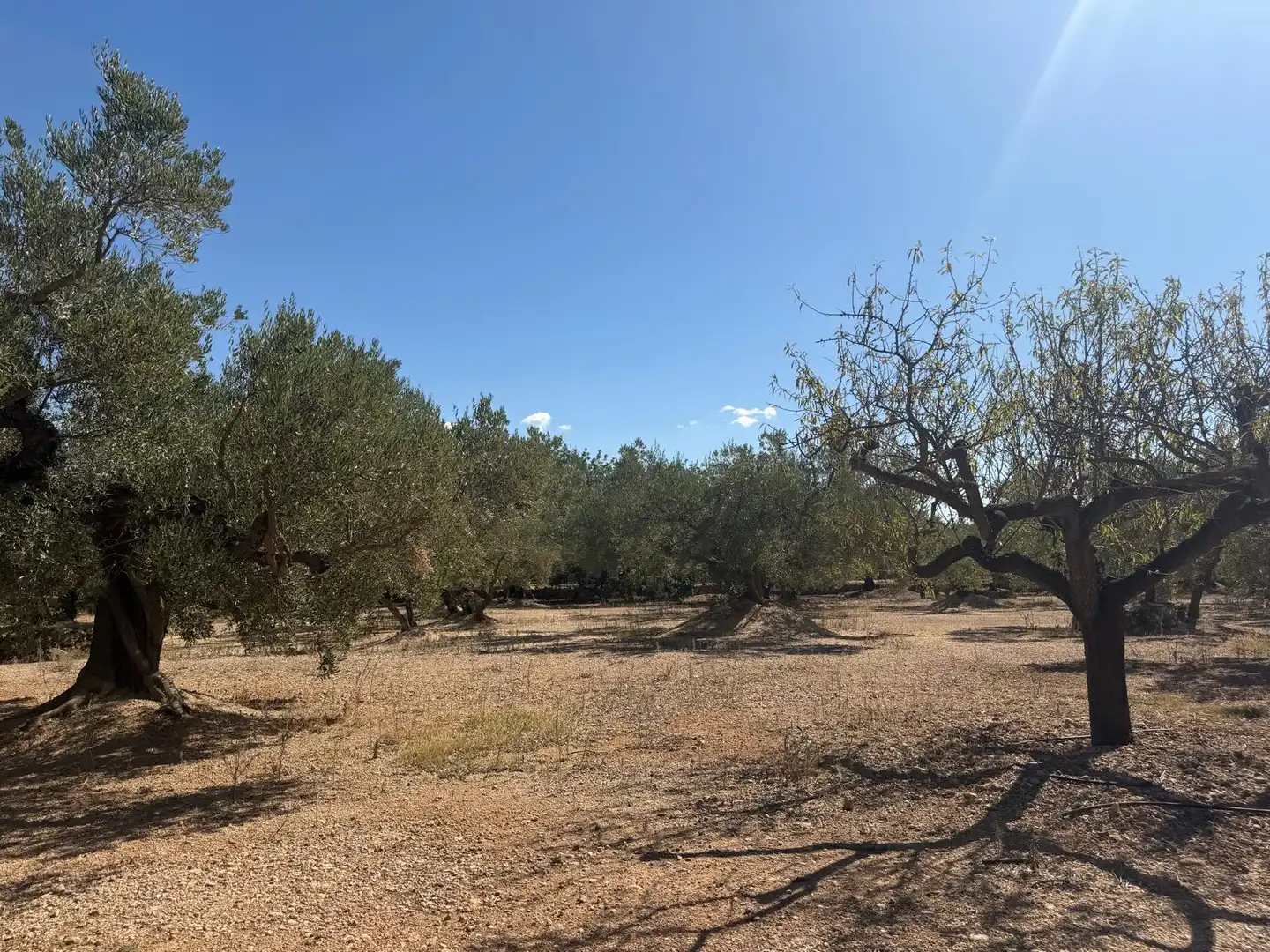 Residencial en venta en Roquetes