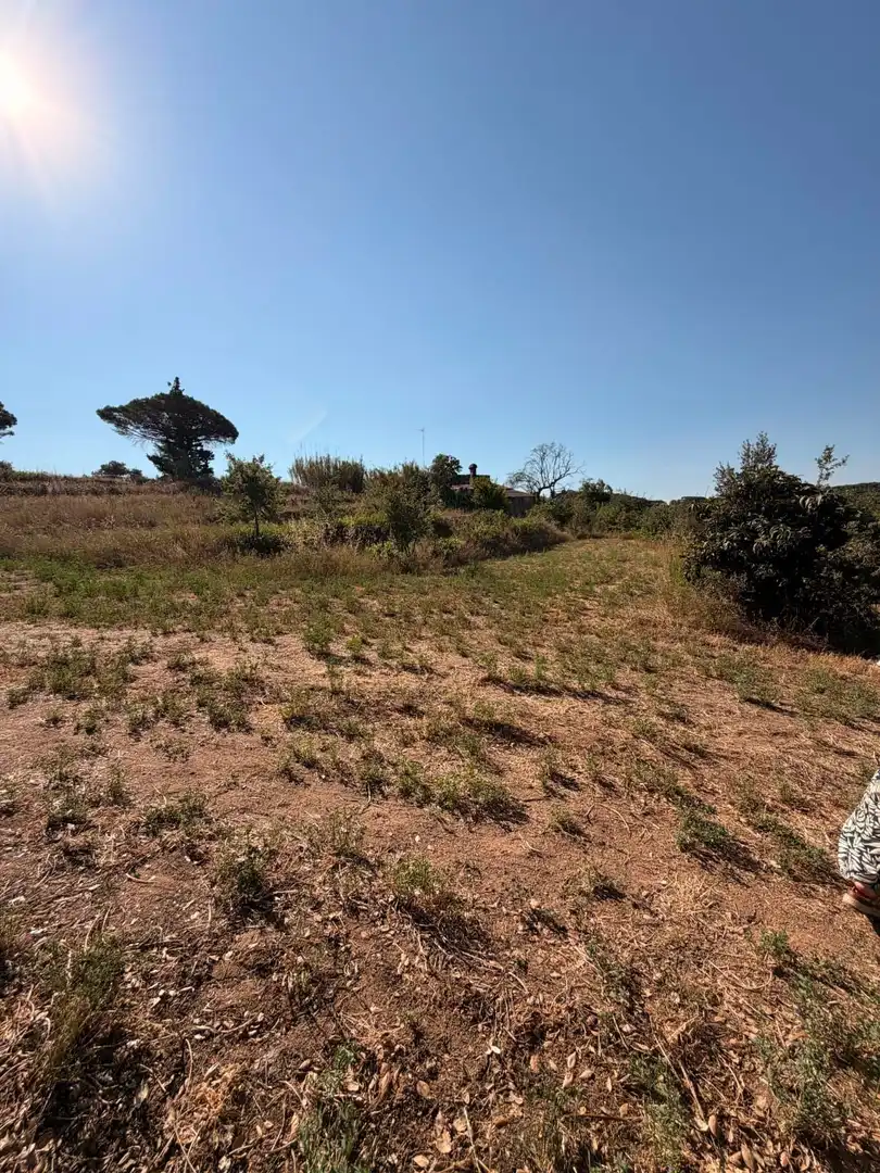 Terreno rustico in vendita a Tordera pueblo, imagen 11