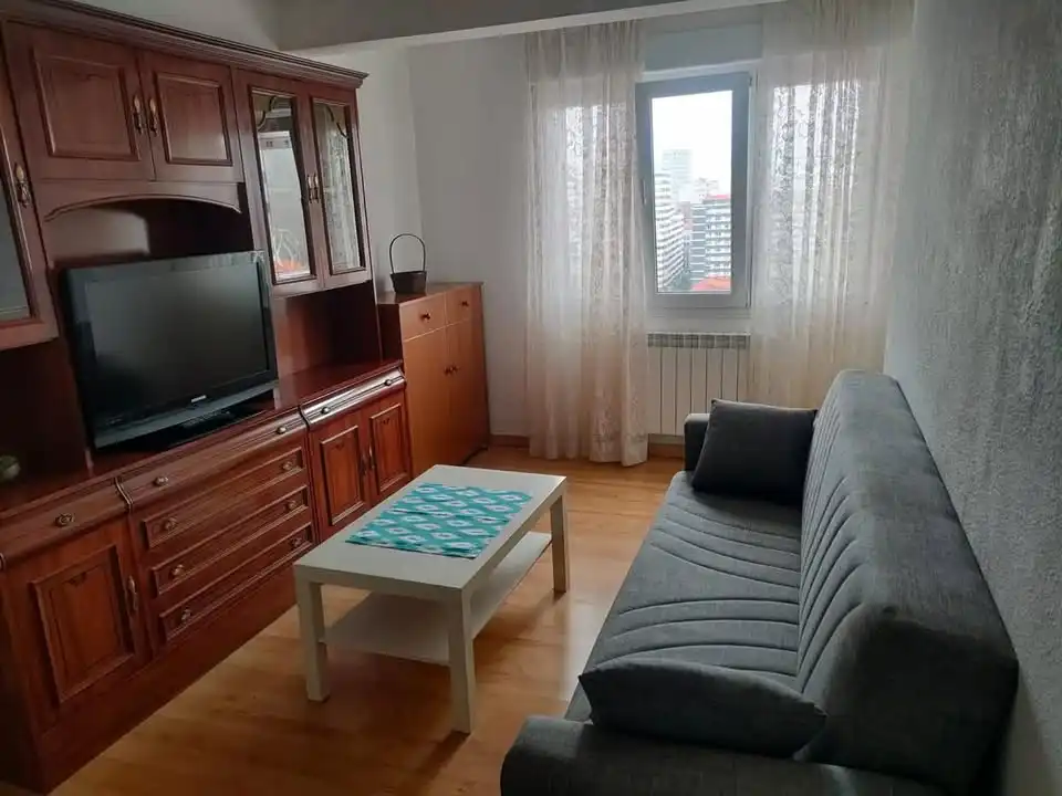 Sala d'estar de Pis de lloguer en Gijón  amb Calefacció, Parquet i Moblat