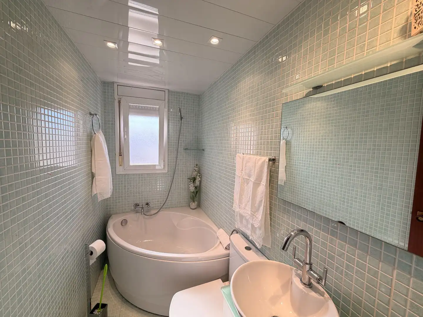 Bathroom of Houses for rent in Aldover  with Private garden, Storage room and Swimming Pool