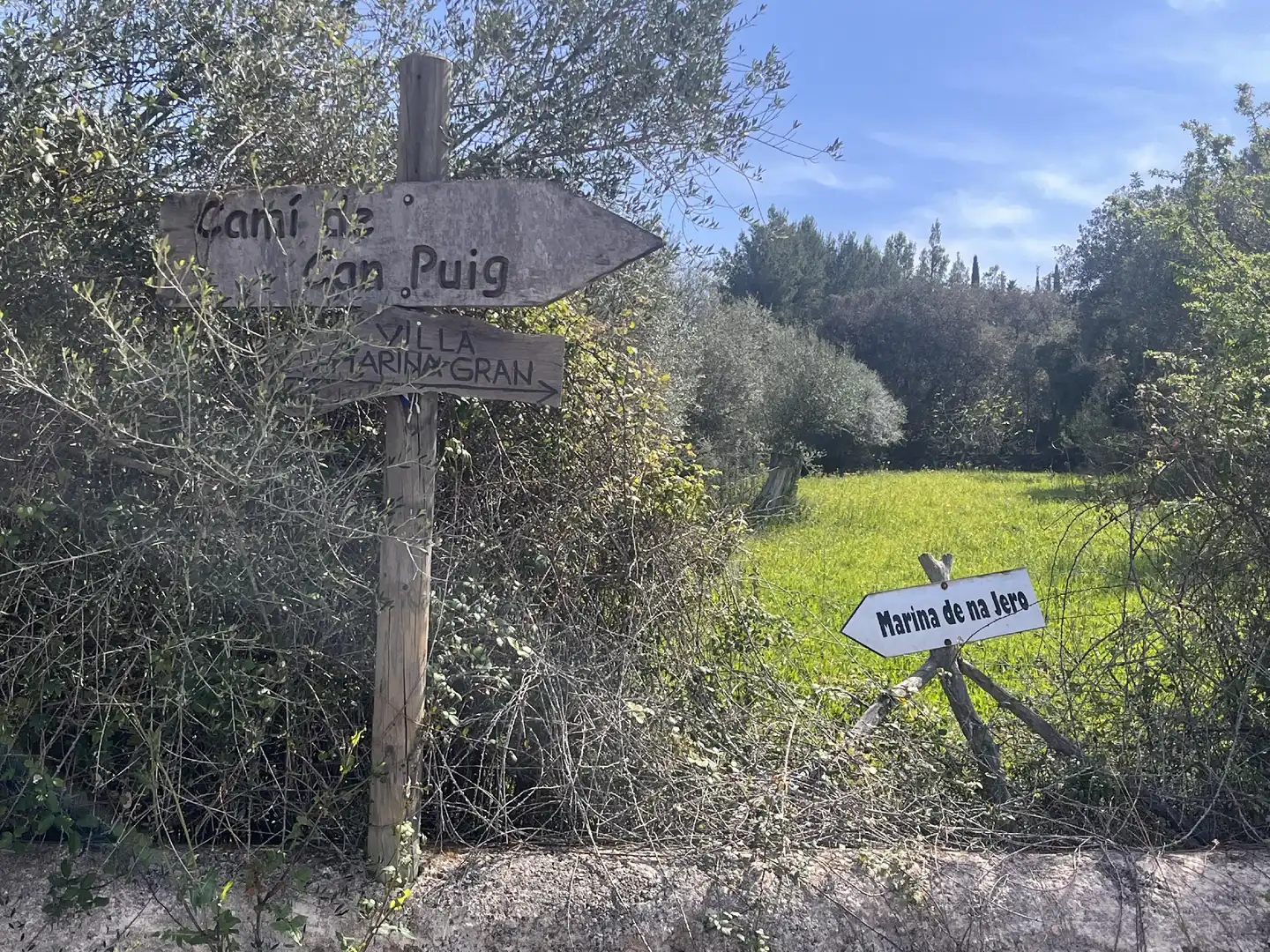 Terreno rustico in vendita a Pollença Poble, imagen 6