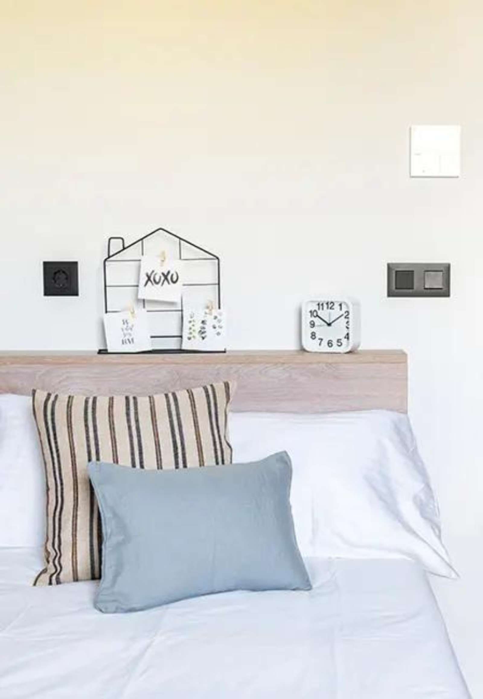 Estudi per a compartir a Haygon - Universidad